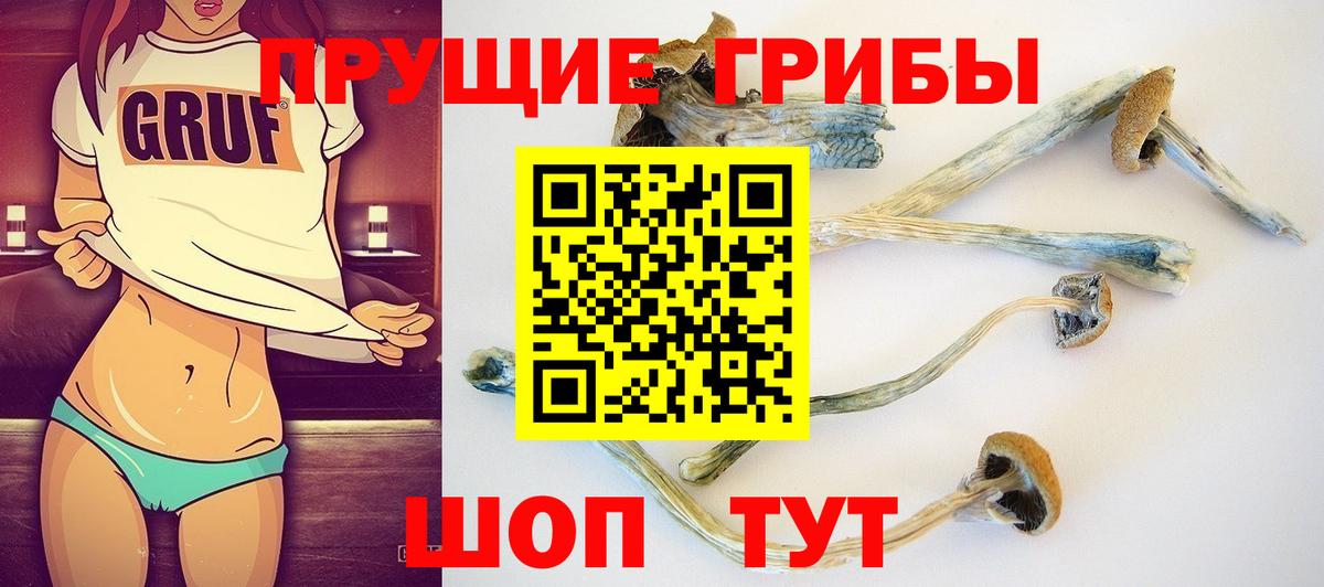Галлюциногенные грибы GOLDEN TEACHER  Вход с VPN  Тольятти 