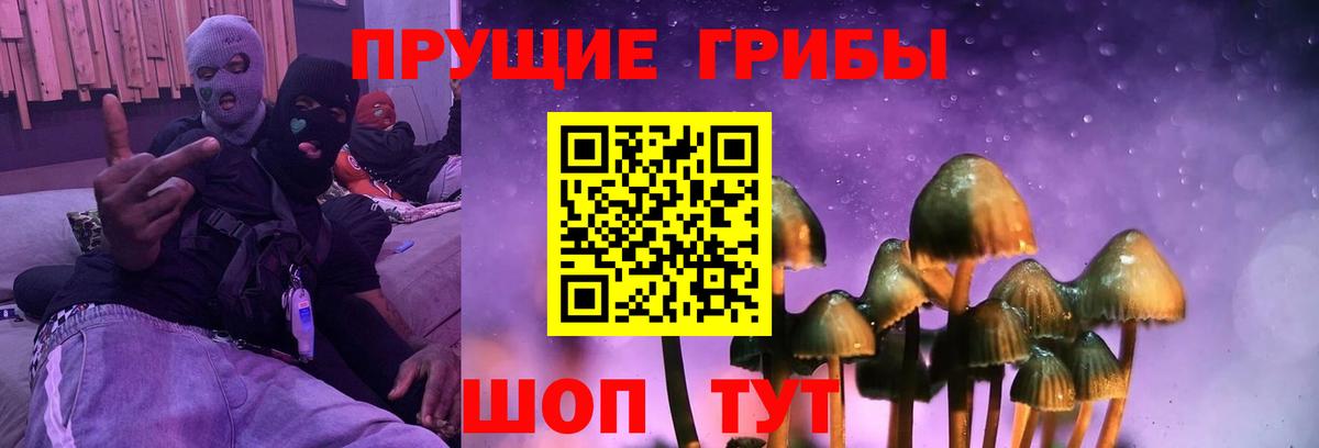 Псилоцибиновые грибы мухоморы Тольятти